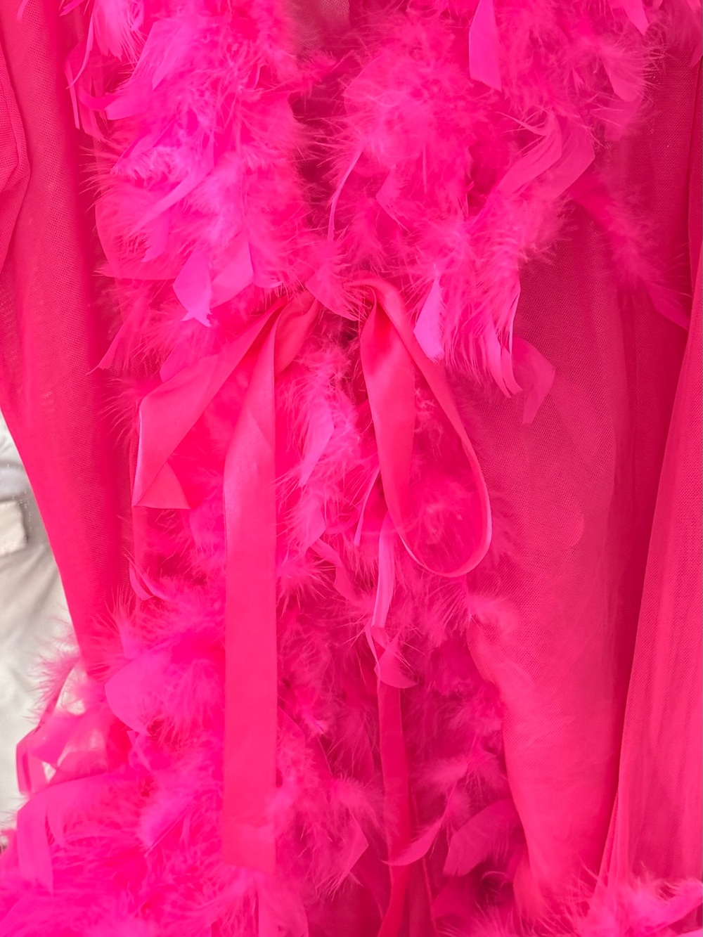Hot Pink Feather Trim Sheer Robe with Satin Tie - Picture 7 of 12